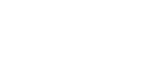eagle1_logo